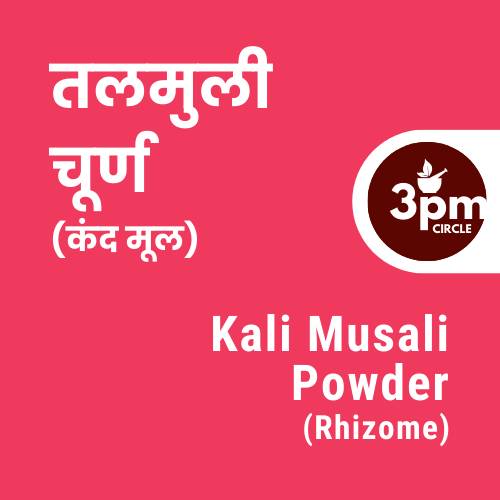 Kali Musali Powder (Rhizome)