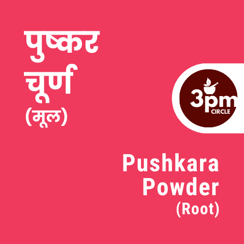 Pushkara Powder (Root)